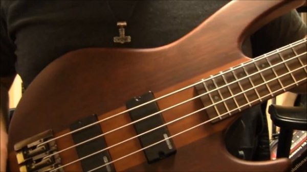 ESP/LTD D-4 Bass