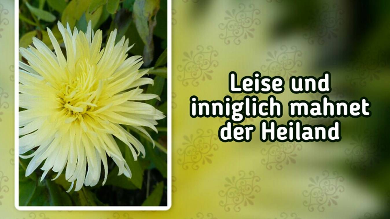 Leise und inniglich mahnet der Heiland (-) смотреть онлайн