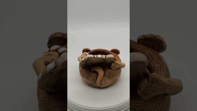 Зоокашпо Котик на спинке