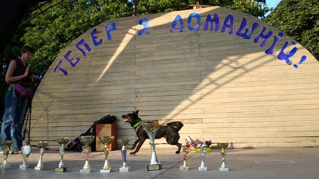 На празднике защиты бездомных животных. Чернигов смотреть онлайн