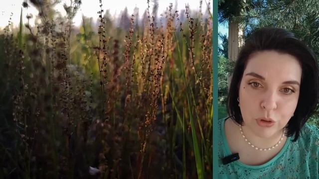 №42 Хлопок и кашемир, крио-маска, образец и узор, украшения с топазами смотреть онлайн