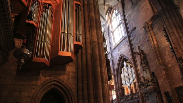 Dieterich Buxtehude: Toccata Ex D BuxWV 155 (Freiburger Münster)
