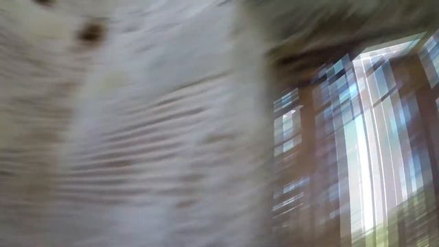с. Нивны Сретенская церковь. Арсеньевский район. Тульской области. смотреть онлайн