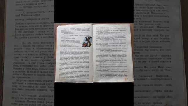 Приключения в Лесу Ёлки-на-Горке Глава 1 смотреть онлайн