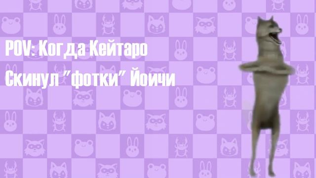 Pov : Кейтаро скинул фотки Йоичи #ихвильнихт #волк #танцы #memes смотреть онлайн