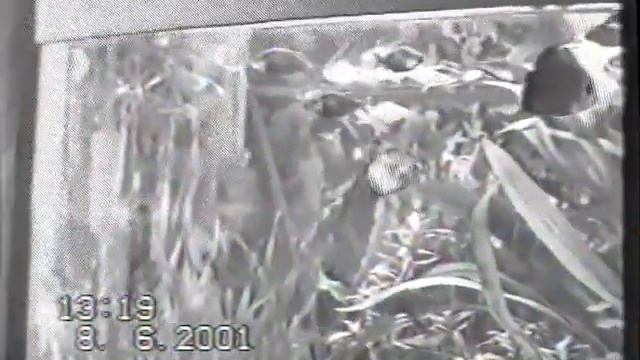 Нововолынск 1-ч. 06.2001 смотреть онлайн