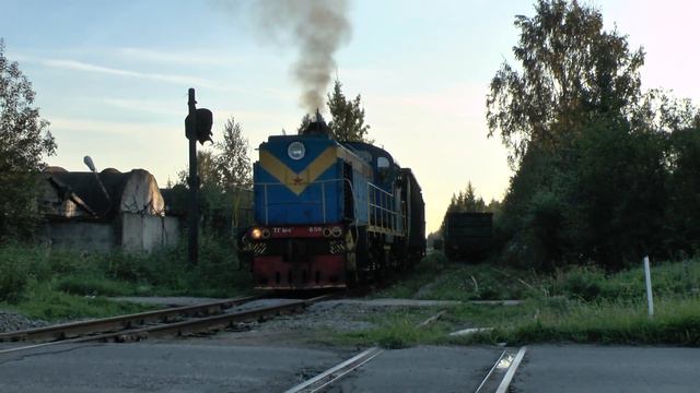 Маневры тепловоза ТГМ4а-650 смотреть онлайн