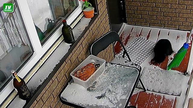 Продолжение дачных историй смотреть онлайн