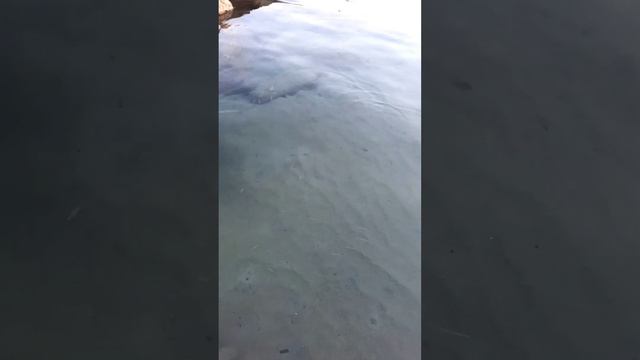 Жизнь под ногами...Море. Кипр смотреть онлайн