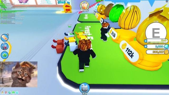 CATS ONLY VS DOGS ONLY in Roblox Pet Simulator X смотреть онлайн
