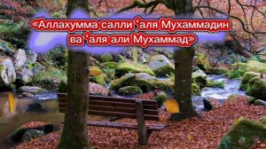 Салават | нашид | Аллахумма |салауат
