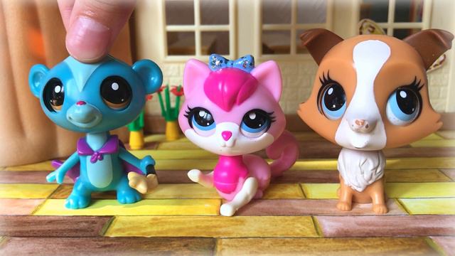 LPS / НЕНОРМАЛЬНЫЕ или СТРАННЫЕ все мои LPS / коллекция lps смотреть онлайн