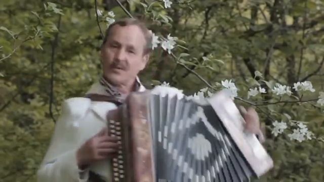 Виталий Адюков - Шурӑ ҫӗмӗрт (2014) смотреть онлайн