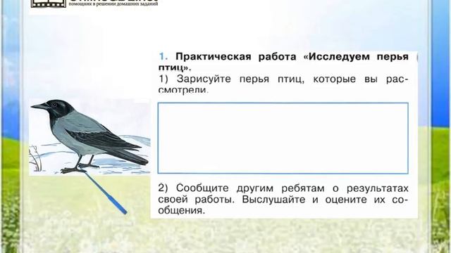 Задание 1 Кто такие птицы? - Окружающий мир 1 класс (Плешаков А.А.) 1 часть смотреть онлайн
