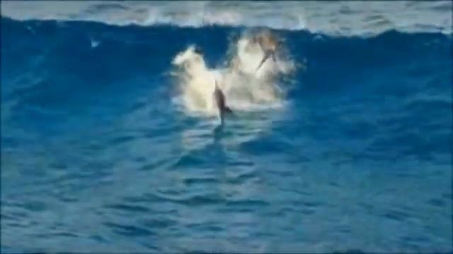 Счастливый путь смотреть онлайн