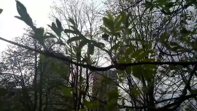 Пасха🐥🥧 смотреть онлайн