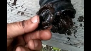 меняем шрус на субару форестер 2003 года автомат