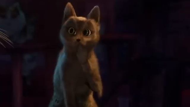 Так ты не кот, а кошка смотреть онлайн