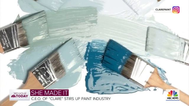 I Started a Paint Company & Raised Millions in Venture Capital | See My Story on The Today Show! смотреть онлайн