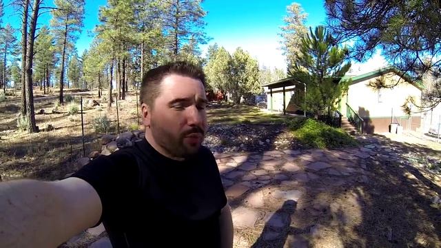 Американская дача в горах Аризоны смотреть онлайн