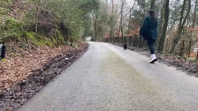 Day In The Life of a REMOTE DATA ANALYST смотреть онлайн