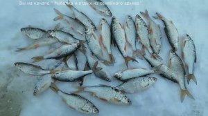 Моя первая зимняя рыбалка в 2024 г. Ночуем в палатке р.Обь Барнаул. Рыбалка перед Рождеством