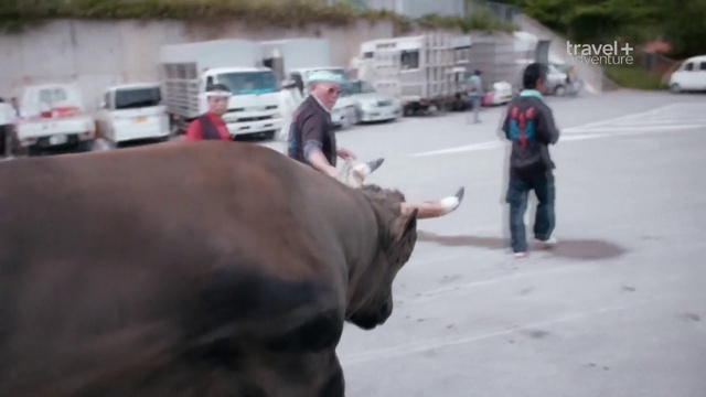 S01E07 смотреть онлайн