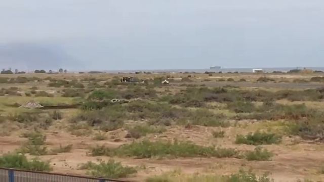 Categoría Toyota Vitz ARICA 2019 смотреть онлайн