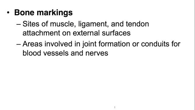 Anatomy and Physiology Chapter 6 Part A: Bones and Skeletal Tissue Lecture смотреть онлайн