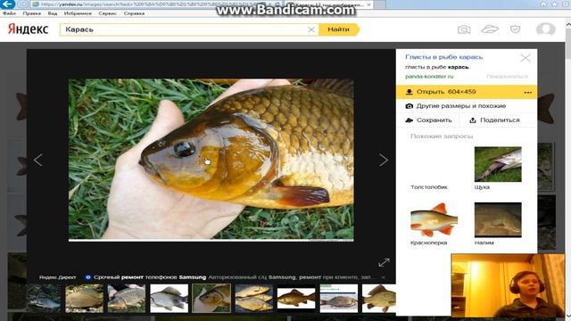 Как живет карась? Кто такой карась? Как ловить около дома. смотреть онлайн