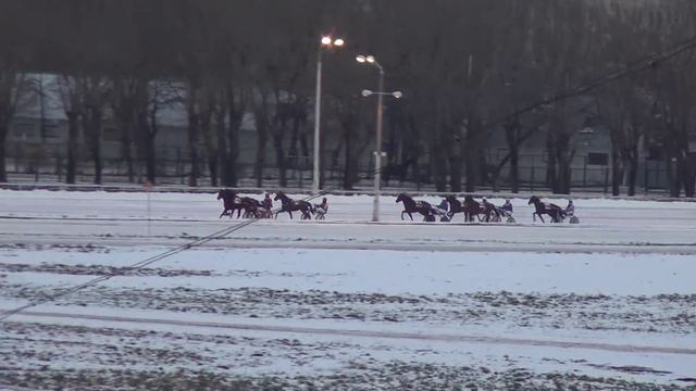 Московский ипподром. Бега. 03.12.17. Заезд 9(716) смотреть онлайн