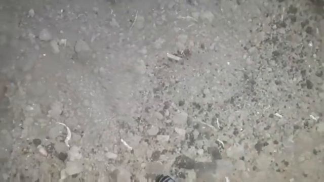 ПОСЕВ КУКУРУЗЫ И ФАСОЛИ. Многодетная семья в деревне. смотреть онлайн