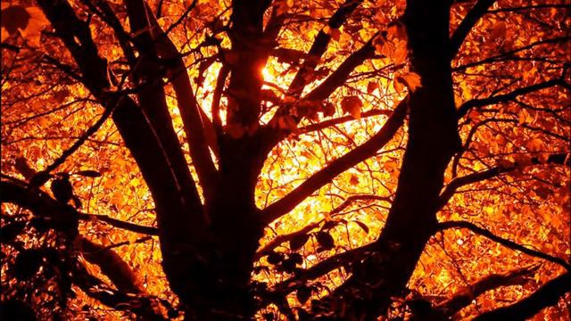 William Blake - A Poison Tree смотреть онлайн