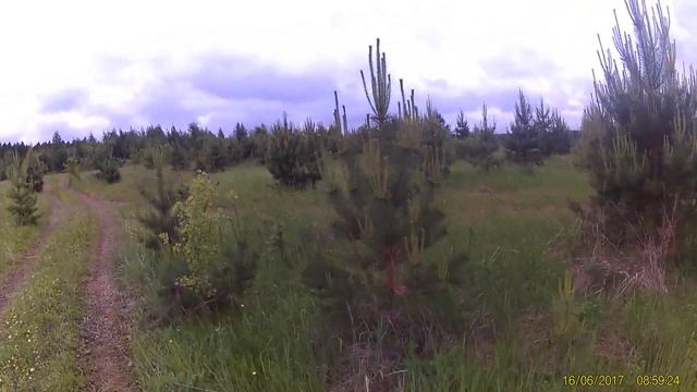 Депутат-Барин набивая себе карман губит природу техникой Мордовия Рузаевский район село Сузгарье смотреть онлайн