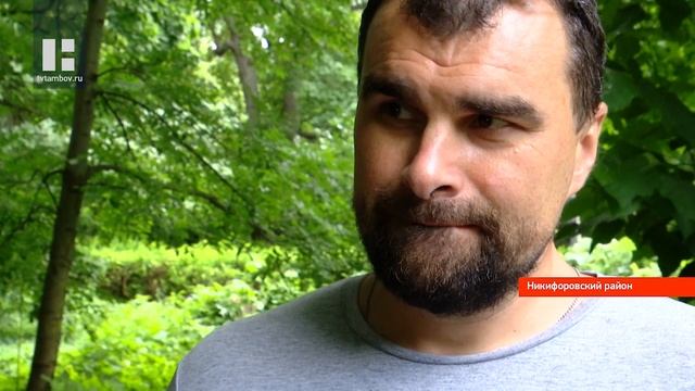 Уникальному дендропарку в Тамбовской области в этом году исполнится 130 лет смотреть онлайн