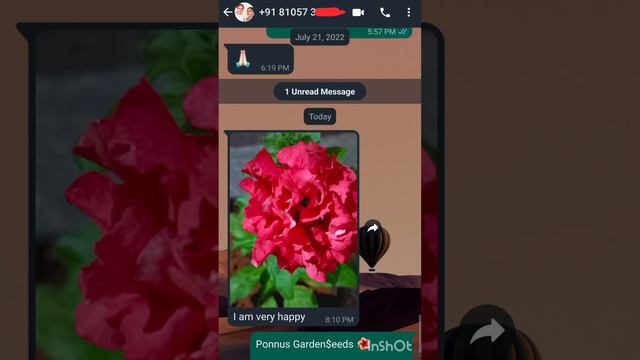 Plants courier/ Seeds customer Reviews ❤️✌️ #Doublepetunia petunia смотреть онлайн