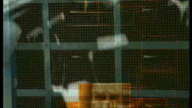 Человек и Закон 2006 05 11 смотреть онлайн