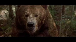 ?/ МЕДВЕДЬ в ЯРОСТИ/ разгромил избушку охотника/Случай в тайге/