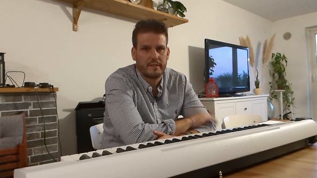 Yamaha piaggero np12 REVIEW - recensione e Demo смотреть онлайн