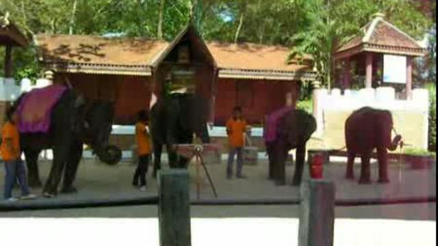 пхукет зоо3 смотреть онлайн