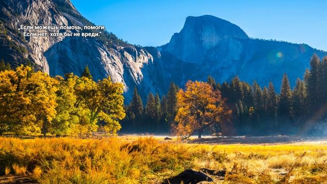 Далай - лама. Мудрость. Цитаты. #video смотреть онлайн