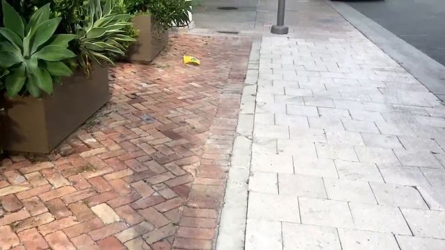 Я в Майами. Есть ли мусор в Майами? Есть) от Lana Kelly