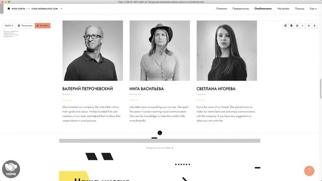 Линчёпинг. Шаблон сайта на Тильде для компании смотреть онлайн