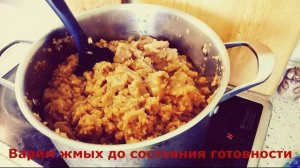 Пастила из яблочного жмыха