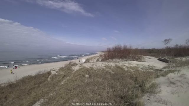 Нашел ЗОЛОТО трех видов! Желтое ЗОЛОТО! Белое ЗОЛОТО! Красное ЗОЛОТО! смотреть онлайн