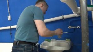 Учебное видео: разведение трубочника