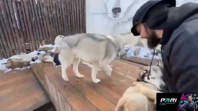 ИРЛ ГОРЫ 🏔 ЗОВУТ ТЕХ ЧЬЯ ДУША ИМ ПО РОСТУ. ДАНИЛА ГОРИЛА смотреть онлайн
