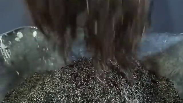 Repotting Carpinus orientalis The Mantis смотреть онлайн