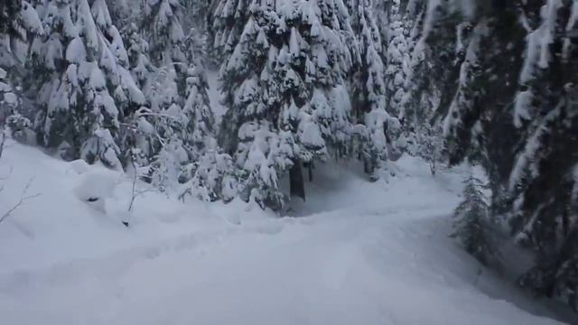 Titisee-Neustadt winter. смотреть онлайн