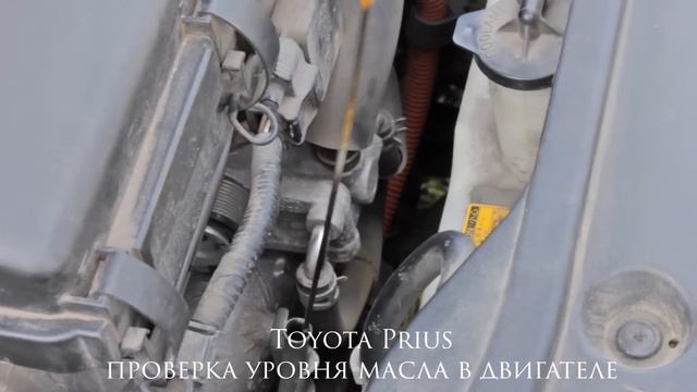 проверка уровня масла в двигателе. Checking Oil Level Toyota Prius смотреть онлайн